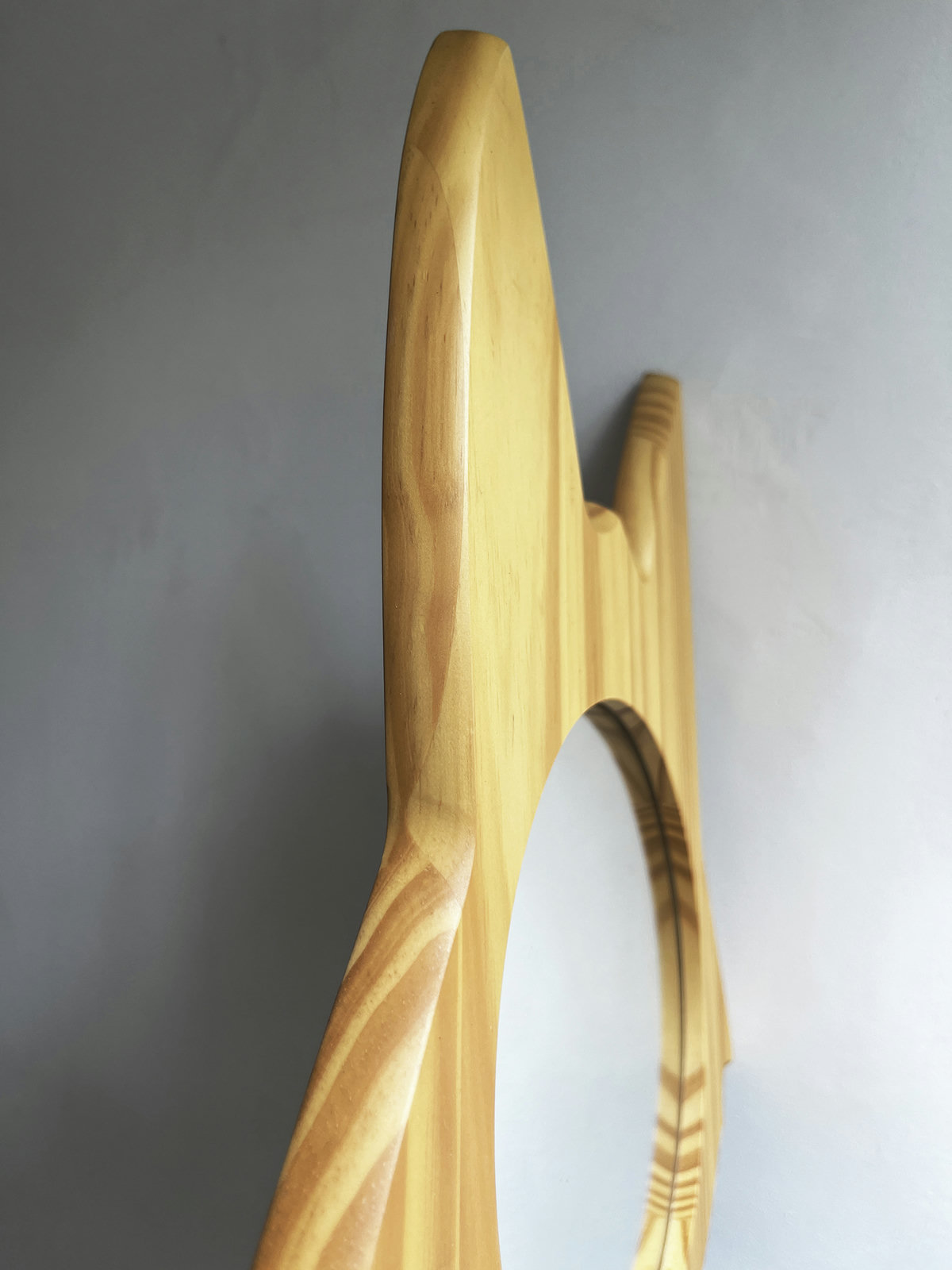 detalhe lobo-guara.jpg